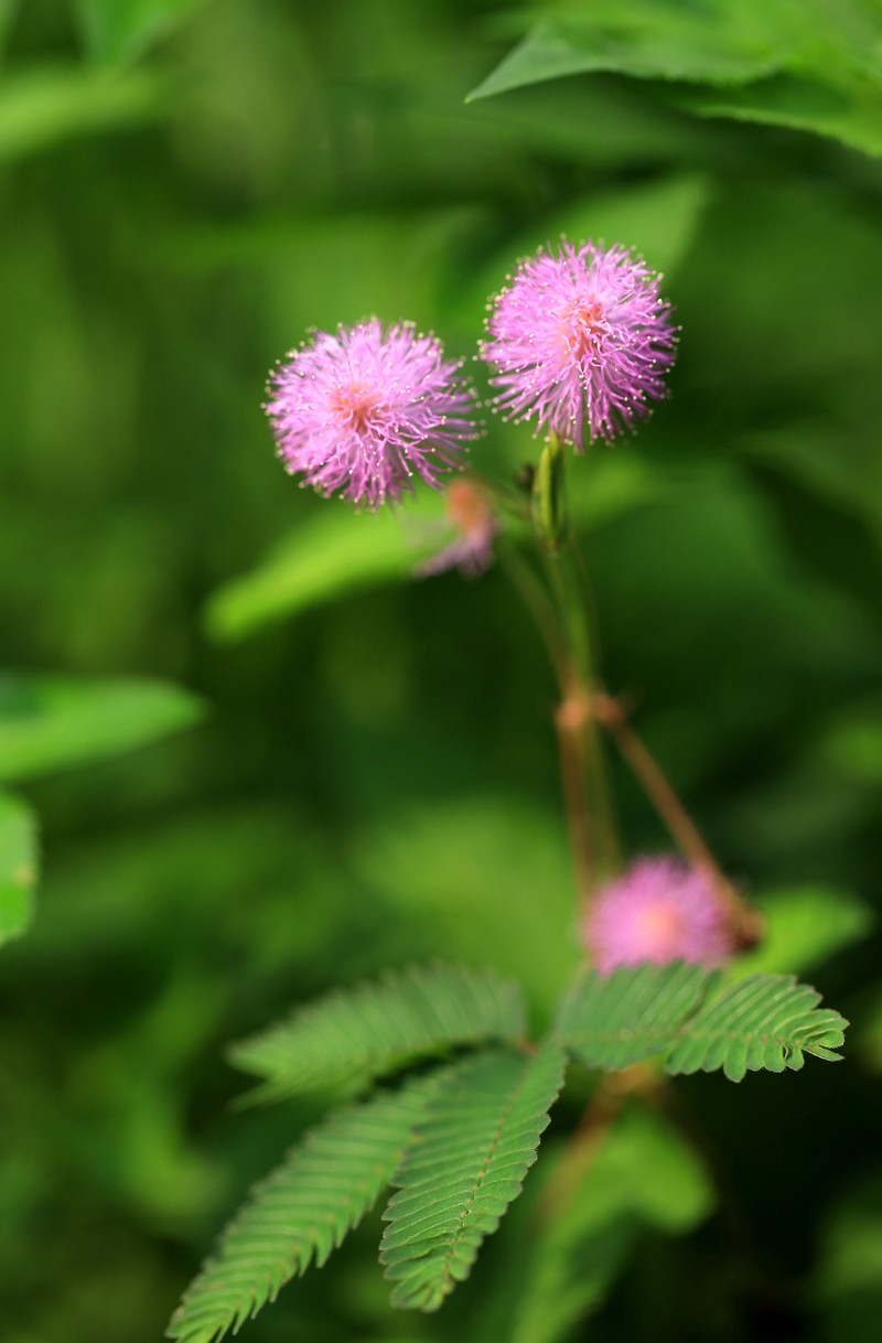 6315e56790eee067c2cd9e54.jpg